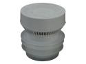 Arateur  Membrane